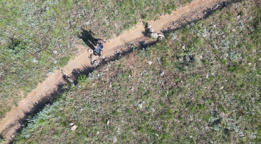 The Impact of Drone Photography on Recreational Activities