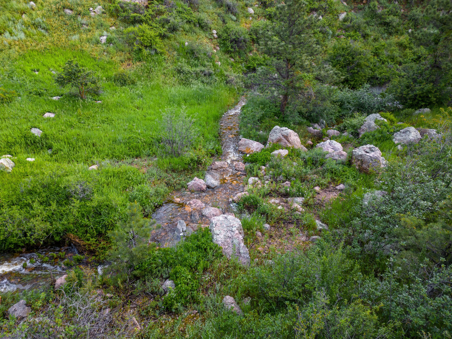 Beautiful Lush Forest Stream with Mossy Rocks, Wallpaper for Social Media Smartphones Zoom Presentations - Sky High Gallery